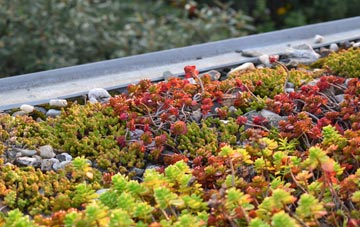 the cost of Inglesham green roof installation